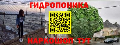 стаф Гусь-Хрустальный