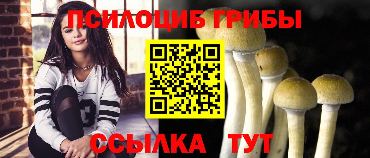 Малгобек  Галлюциногенные грибы ЛСД  Вход с VPN 
